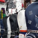 피톤골프 이미지