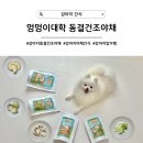 [행복대학]  물과 건강 | [강아지 간식] 원물그대로 영양간식 밥꾸템, 멍멍이대학 동결건조야채