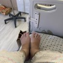 11650-7-5-8 | 효성병원 제왕절개 7박 8일 후기 - 5일차~8일차 (유축의 연속, 퇴원)