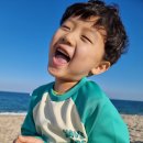 세븐일레븐강릉소금강점 | 오랜만에 찾은 차박성지, 강릉 사천해변🌊