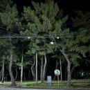 라면먹고갈래 | 강릉해물라면 관동별곡 라면먹고갈래 혼밥 내돈내산