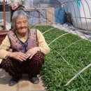 선영농장 이미지