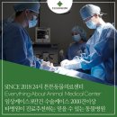 튼튼동물병원 이미지