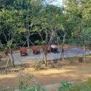 영흥숲공원 숲놀이터 이미지