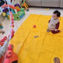 파파홈 | [11개월 영유아 홈문센] 파파덕 1회차 후기