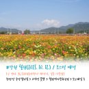 (주)한탄강 여행사