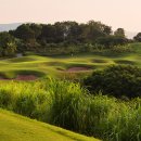 sky 골프 이미지