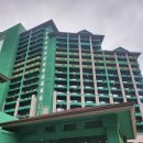 철원한우파크 | 홍천 아이와 함께 즐기기 좋은 소노캄 비발디파크 추천