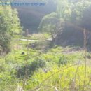 대구지방법원 영덕지원 이미지