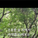 송림2길 이미지