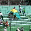 청주야구장 이미지