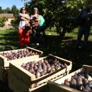 박미향 농장 이미지