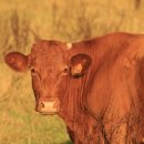 우림부동산중개 이미지