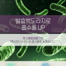 충북인삼농협고려인삼창 이미지