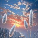 해피데이 이미지