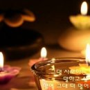 사람과 나무