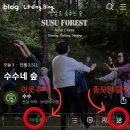 수수네숲 이미지