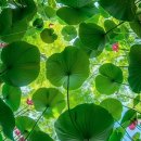 아름다운날 이미지