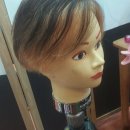 수화 헤어톡 이미지