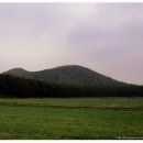 민 목장 이미지