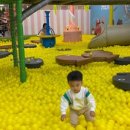 리틀히어로ZOO 이미지