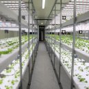 이시우농장 이미지