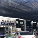 애니카랜드 현풍점 이미지