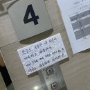 동양복싱아카데미 이미지