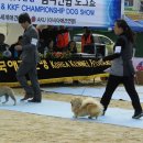 이천공설운동장 이미지