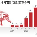 김일환 농장 이미지