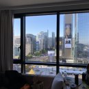 스테이코 이미지