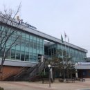 동면 생태친구들 이미지