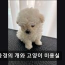 김윤경미용실