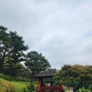 번지없는주막 이미지