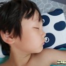 영그린유치원 이미지