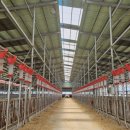 천안축산업협동조합배합사료공장 이미지