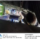 건일자동차종합정비 이미지