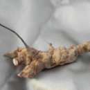 산들약초