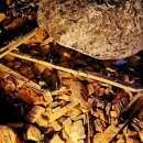 무주 반딧불이축제 최악의 축제 엉망진창 축제 시간 낭비 돈낭비 인생 낭비 아무것도 볼 것도 즐길것도 없다 안국사 구경 이미지