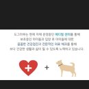 도그마루 노원점 이미지