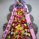 2021-05-0005 - 화성시 만세구 | 2021-05-0005