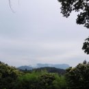 죽녹원마을 이미지