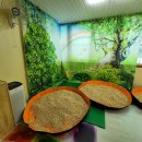 철원어린이집 놀이터 이미지