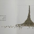 코뮤니타스 브런치
