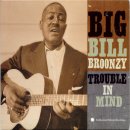 Diggin’ My Potatoes - Big Bill Broonzy - 이미지