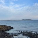 성산농원 이미지