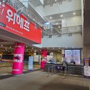 종권농장 | 정선 하이원 알파인 코스터 탑승 및 동물농장, 산상 뷔페, 워터밤 까지 다녀온 후기(일정 및 시간, 할인)