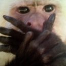 맥주라운지 이미지