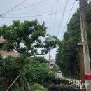 세도나중문 펜션 이미지