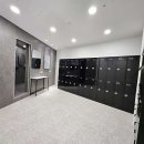 크로스핏 앤츠 이미지